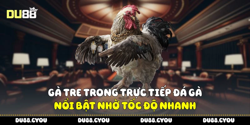 Trực Tiếp Đá Gà Siêu Hot - Bí Kíp Theo Dõi Để Chọn Cửa Chuẩn 3 Gà tre trong trực tiếp đá gà nổi bật nhờ tốc độ nhanh