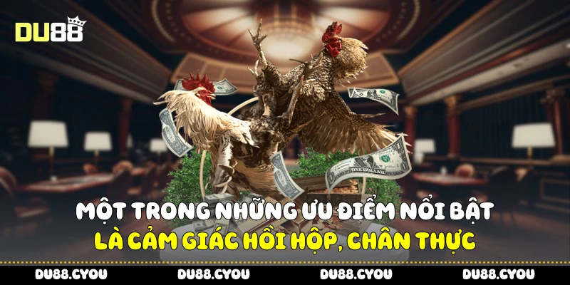 Trực Tiếp Đá Gà Siêu Hot - Bí Kíp Theo Dõi Để Chọn Cửa Chuẩn 2 Một trong những ưu điểm nổi bật là cảm giác hồi hộp, chân thực